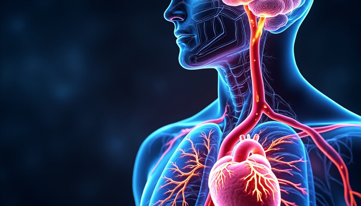 découvrez comment les apnées du sommeil affectent la santé cardiaque et pourquoi elles peuvent accélérer l'épuisement de votre cœur, selon les dernières recherches en neuroscience.